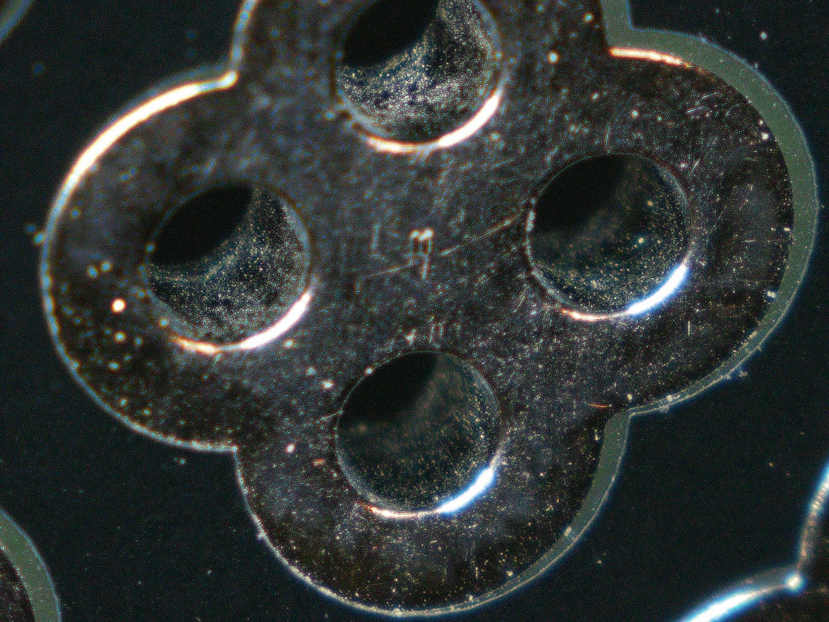 Closeup of protoboard from microscope
